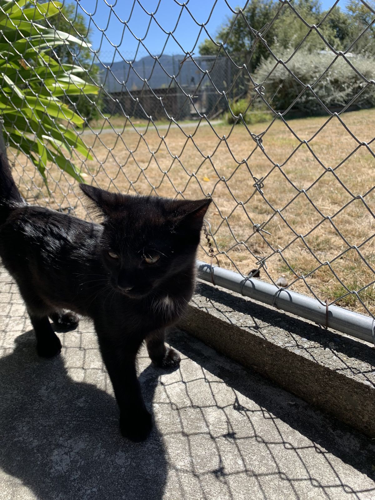 Gallery image: Ranger