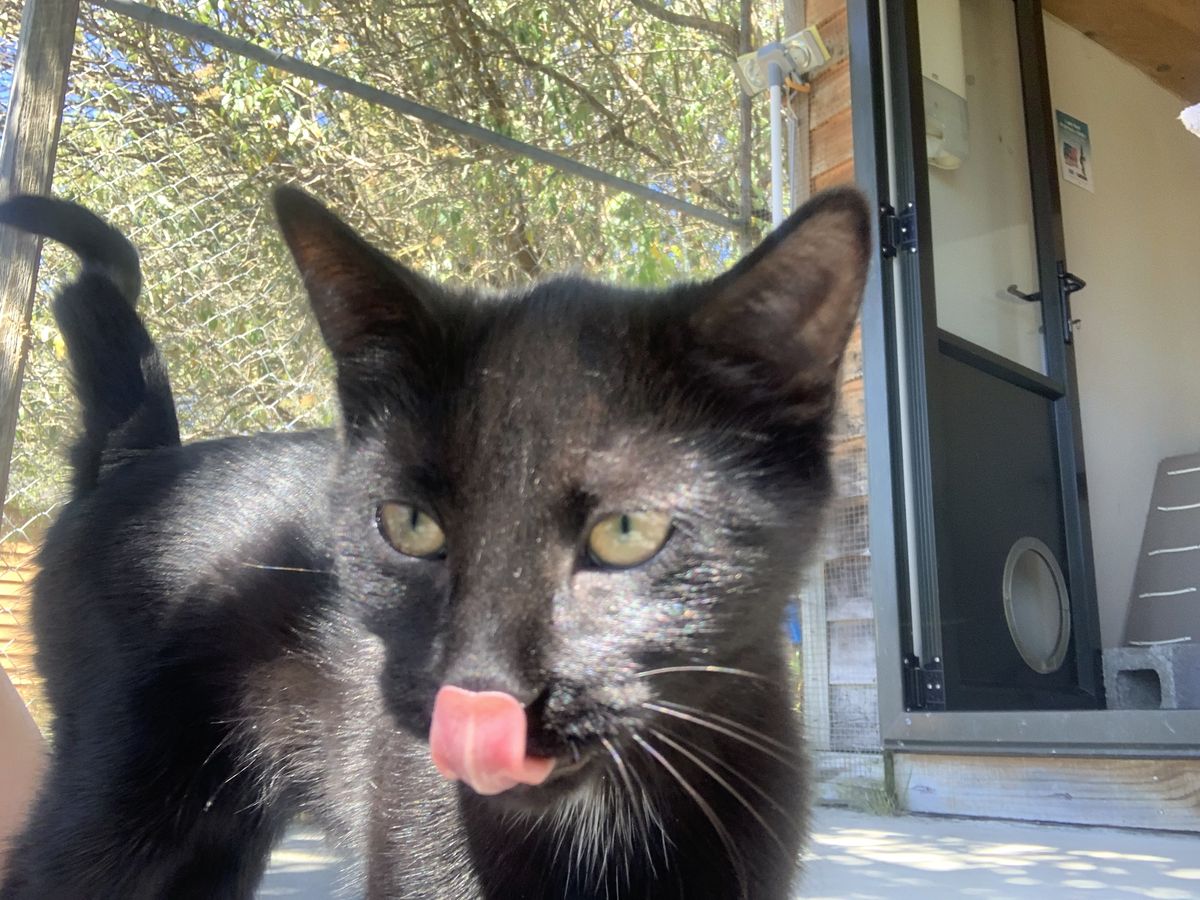 Gallery image: Ranger