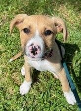 Gallery image: Sandy