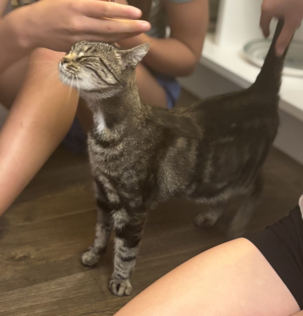 Gallery image: Bakery