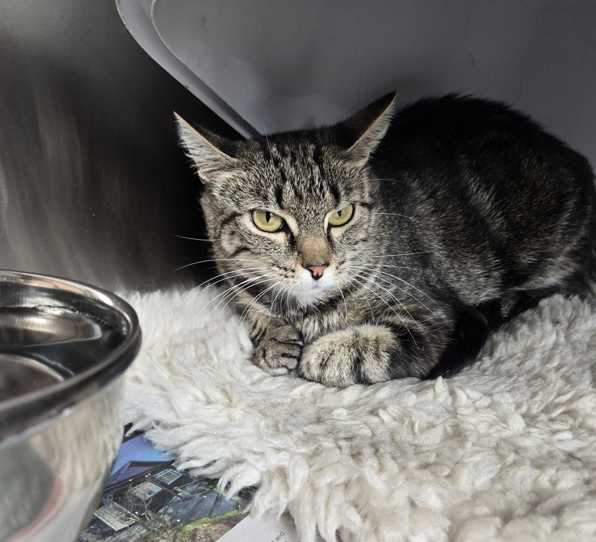 Gallery image: Bakery