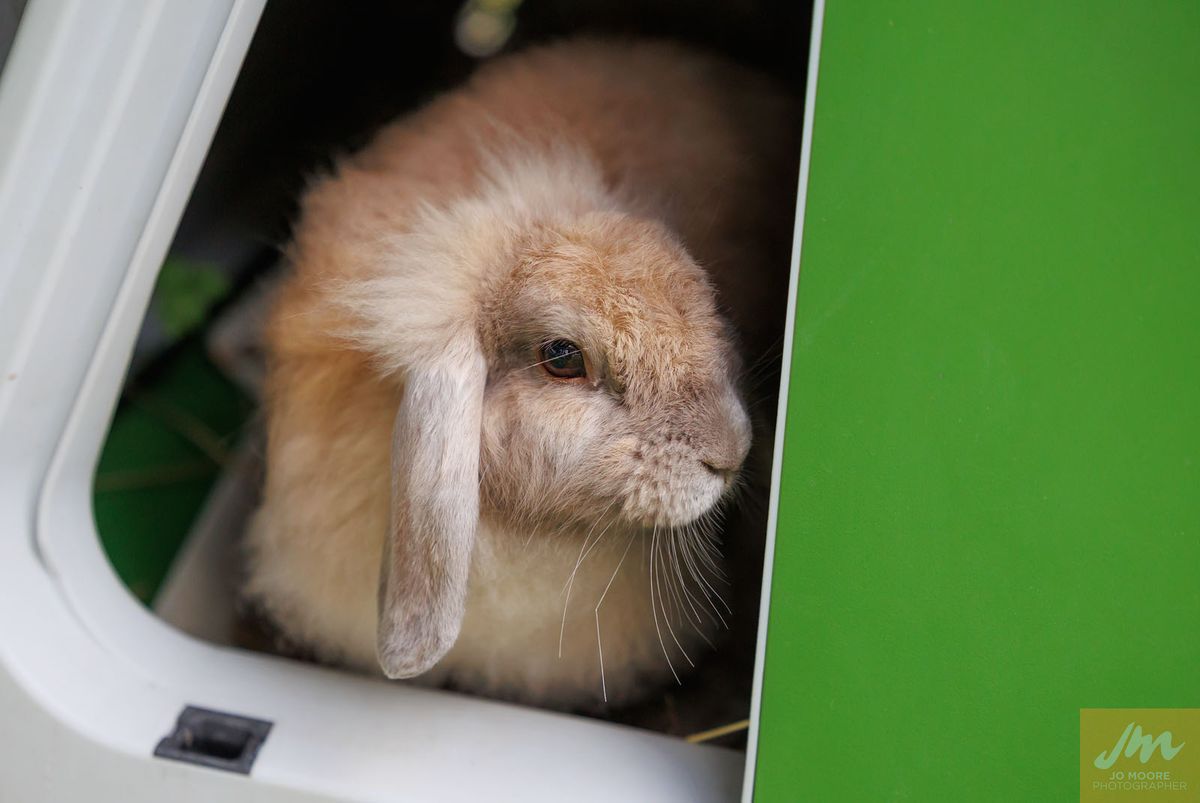 Gallery image: Slippers