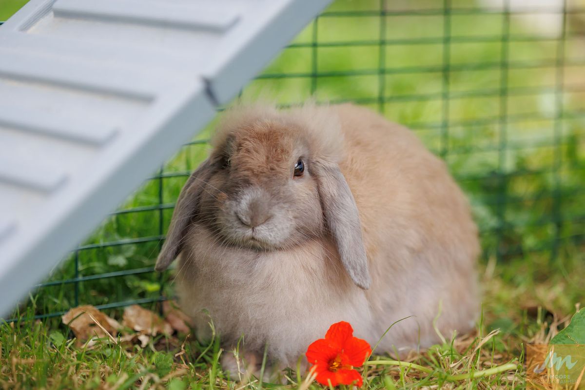 Gallery image: Slippers