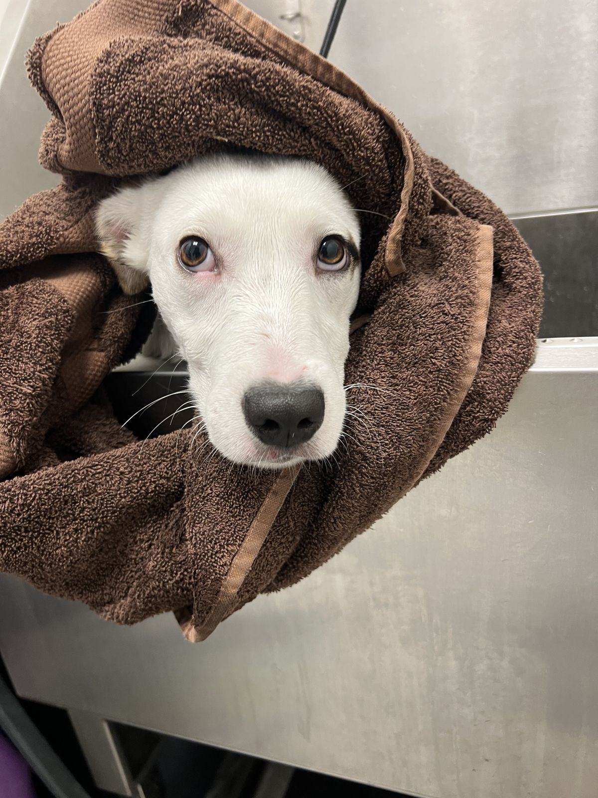 Gallery image: Mecca