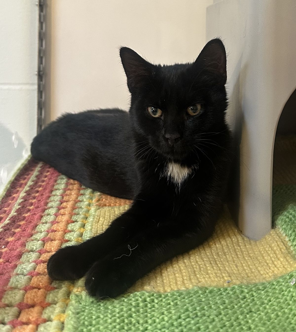 Gallery image: Valerie