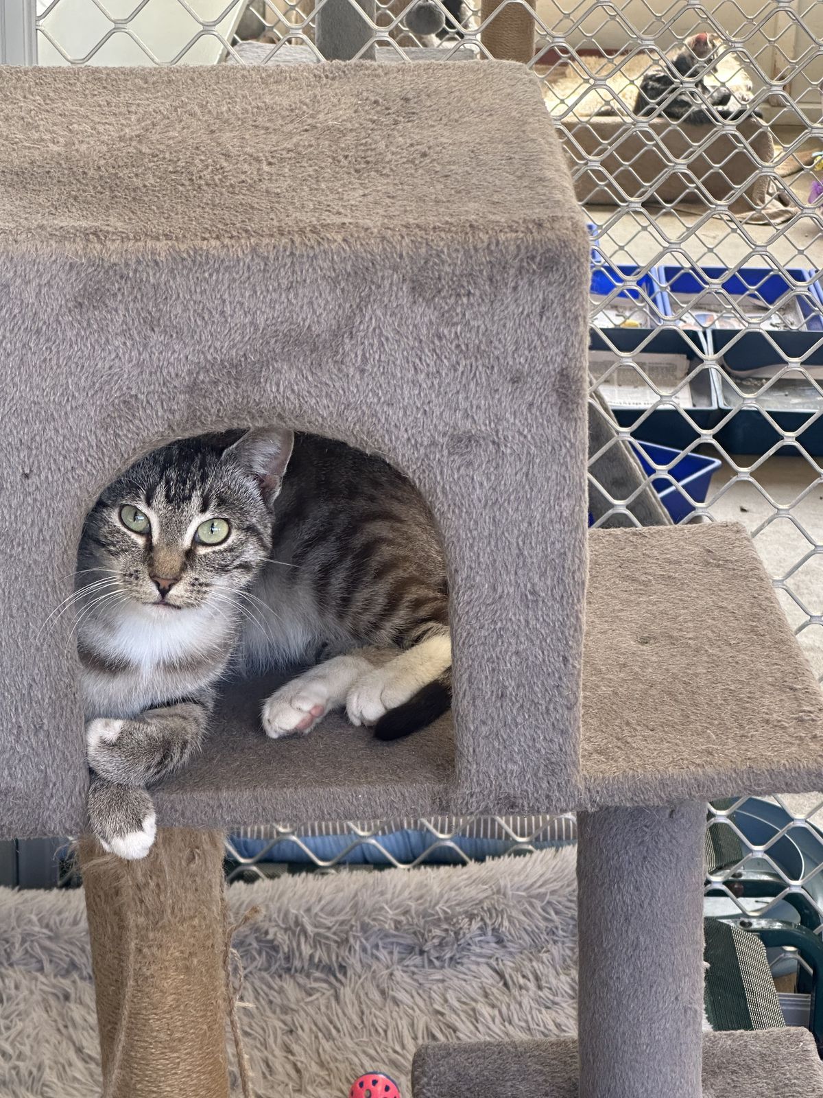 Gallery image: Meredith