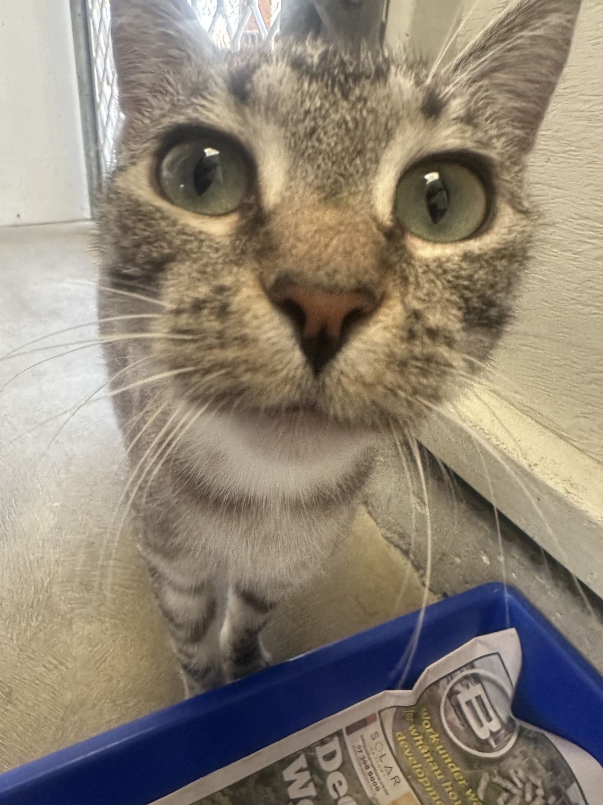 Gallery image: Meredith