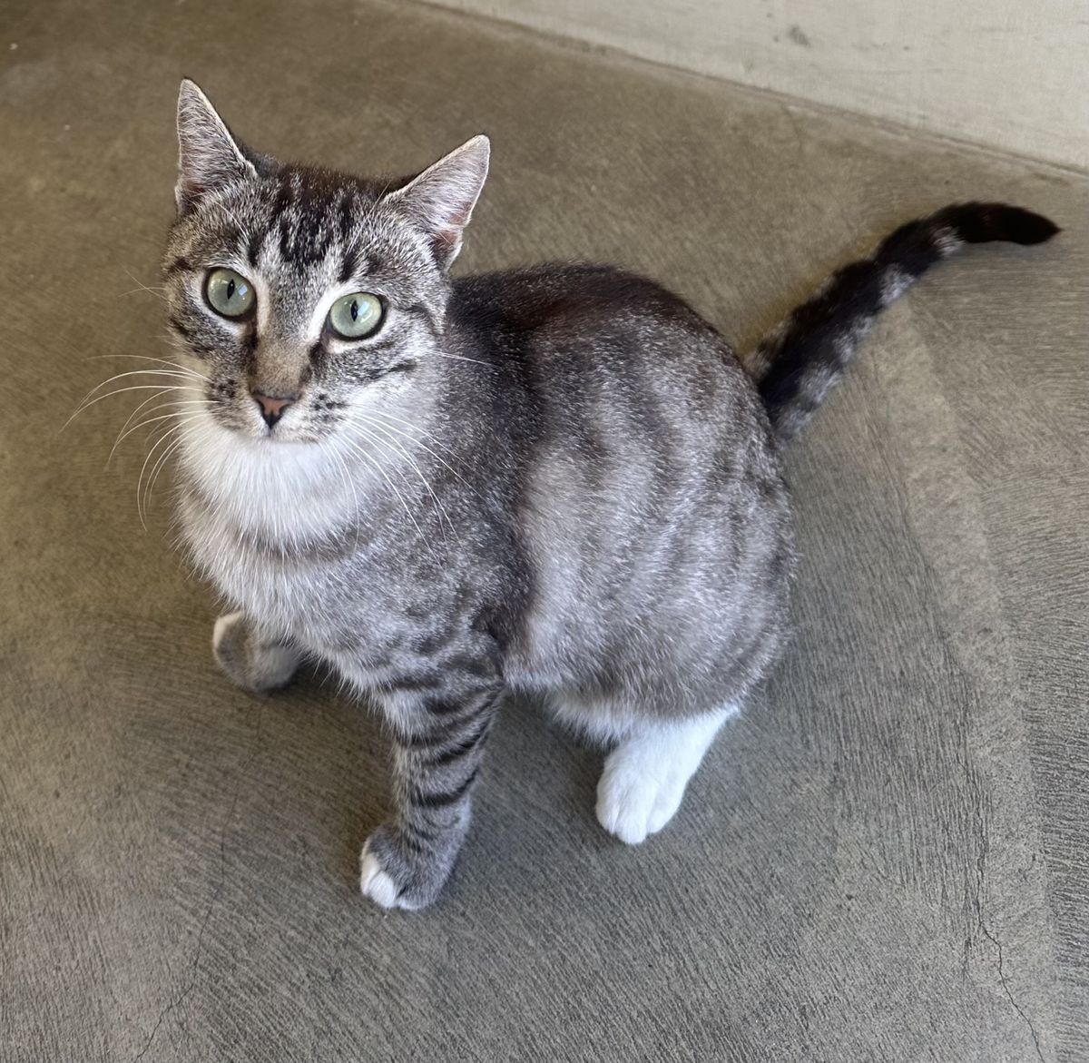 Gallery image: Meredith