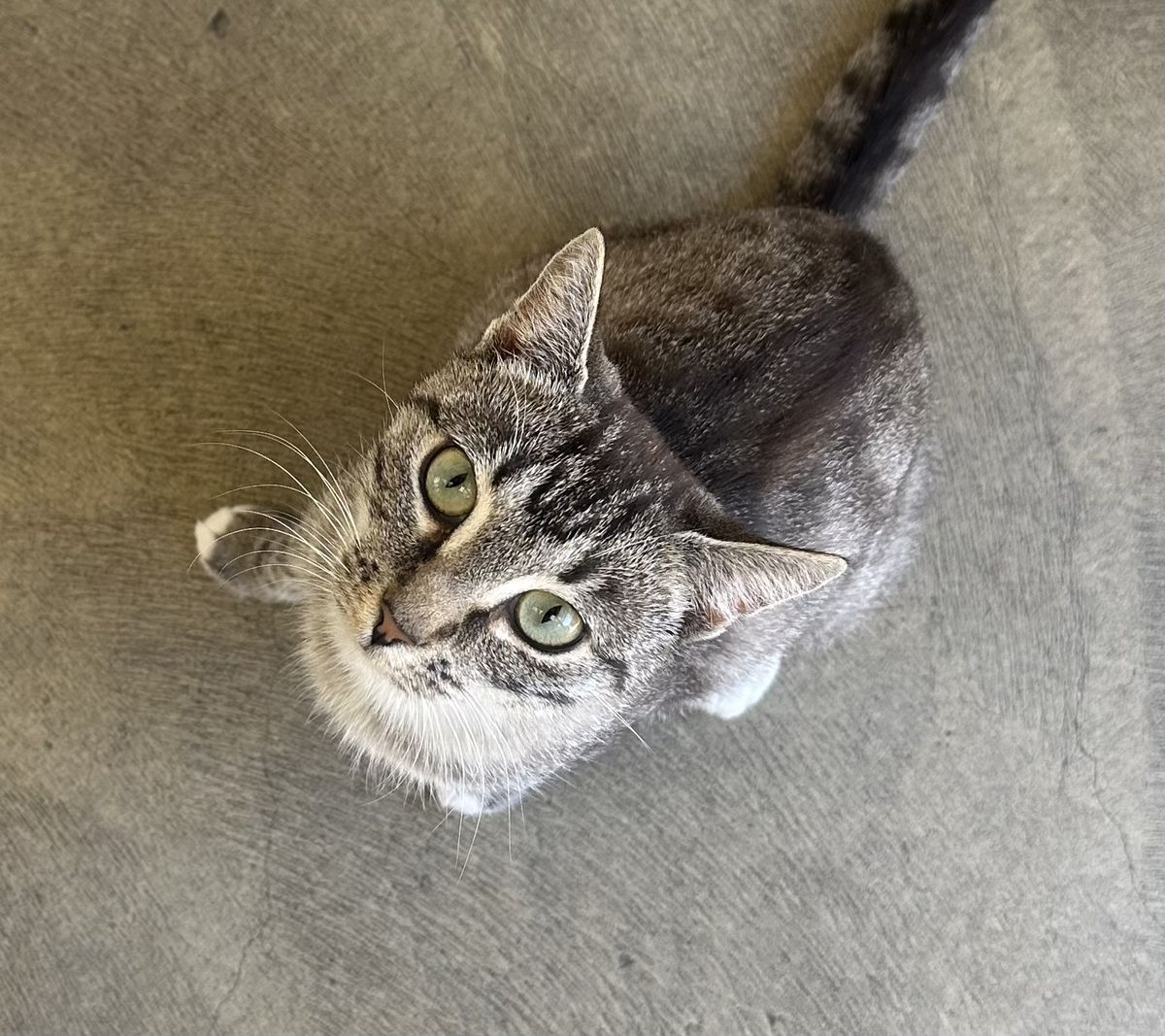 Gallery image: Meredith