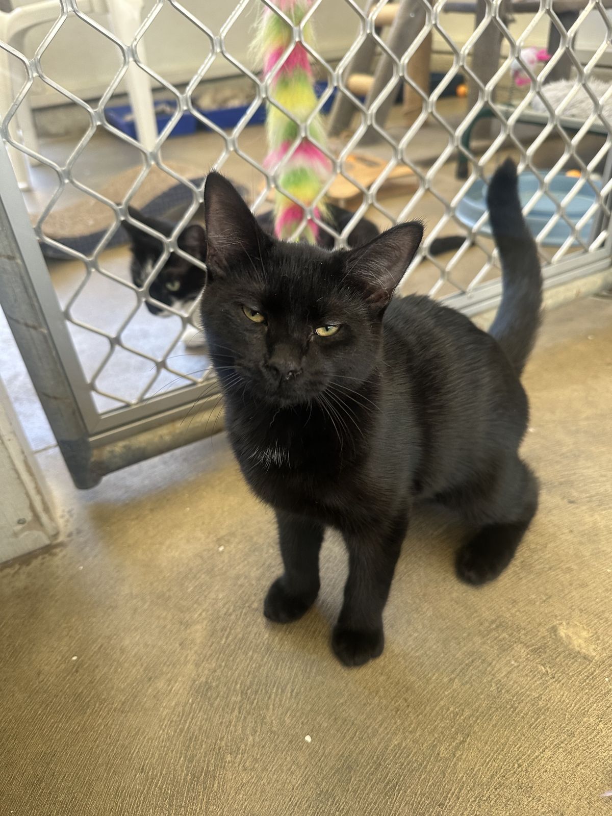 Gallery image: Tater