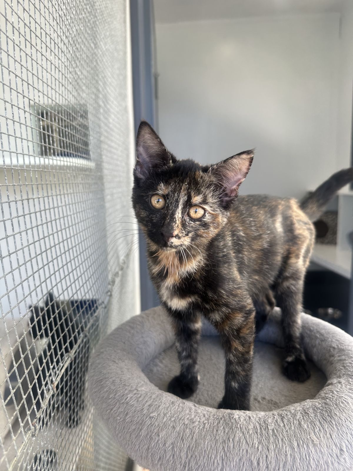 Gallery image: Millie