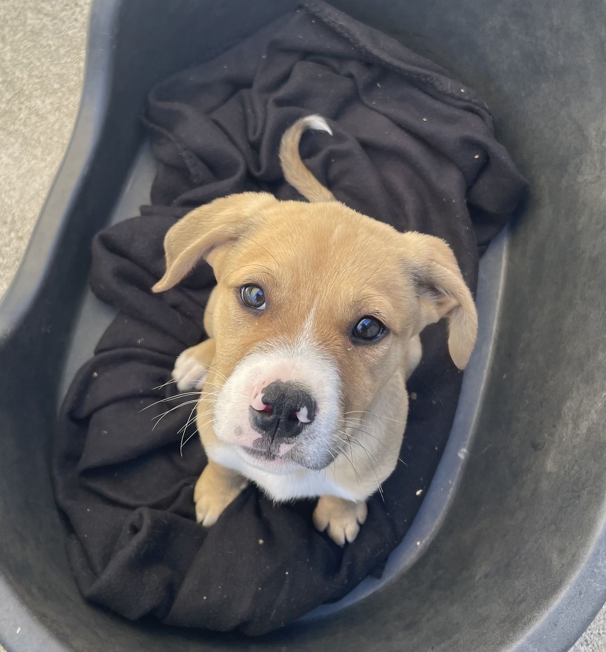 Gallery image: Patrick