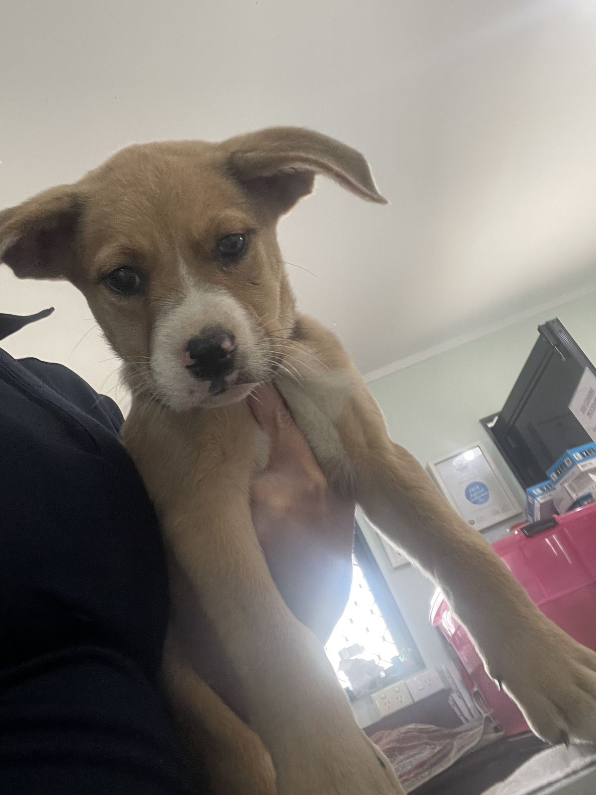 Gallery image: Patrick