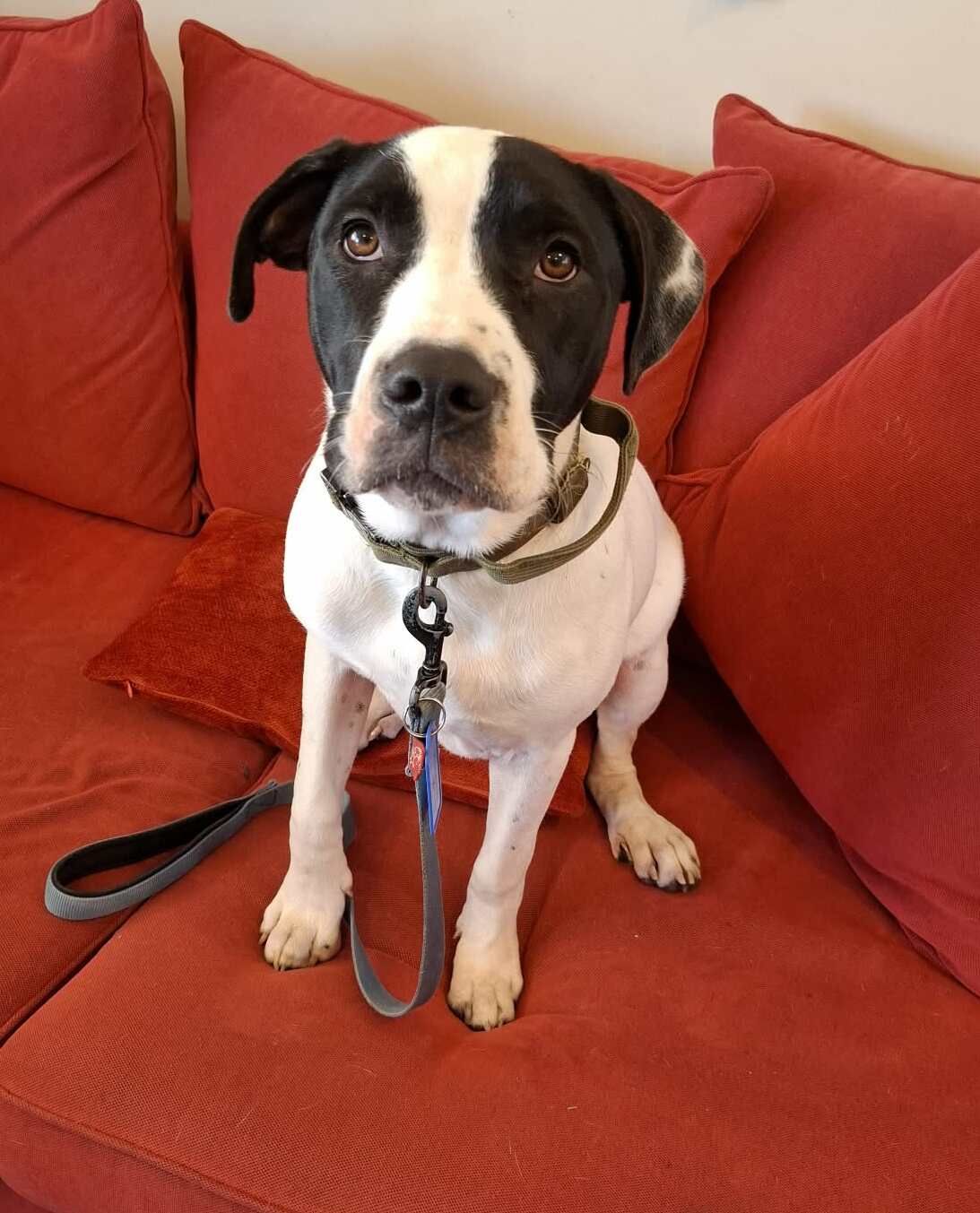 Gallery image: Archer