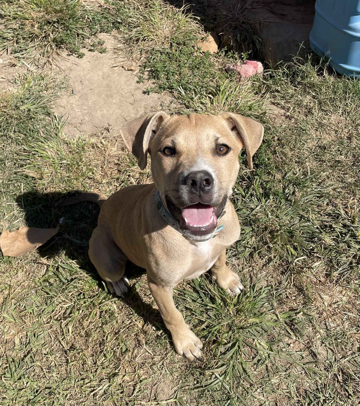 Gallery image: Einstein