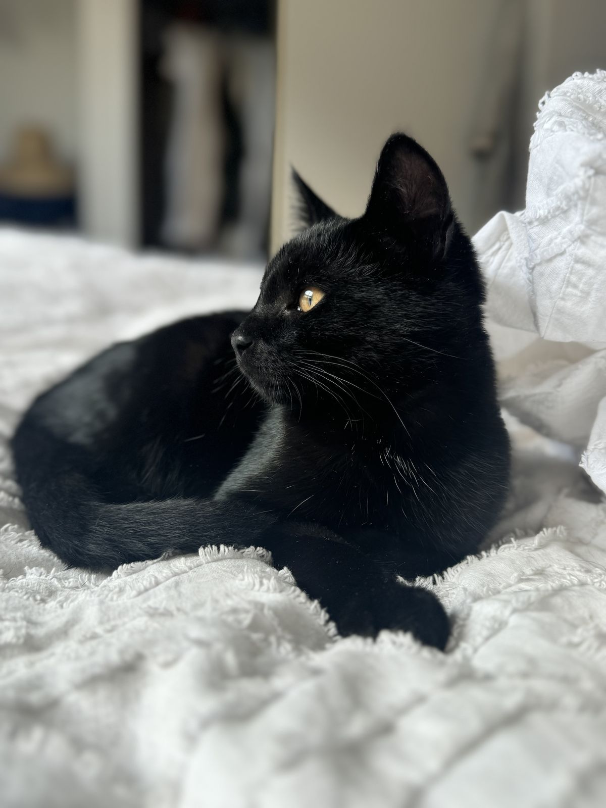 Gallery image: Duke Thomas