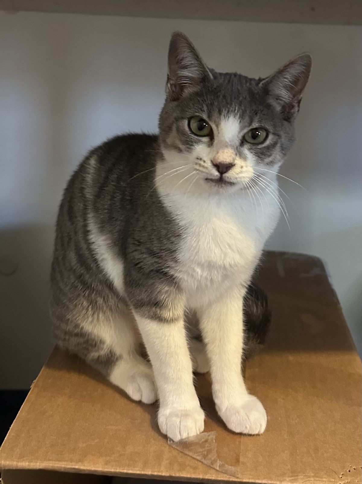 Gallery image: Orbit