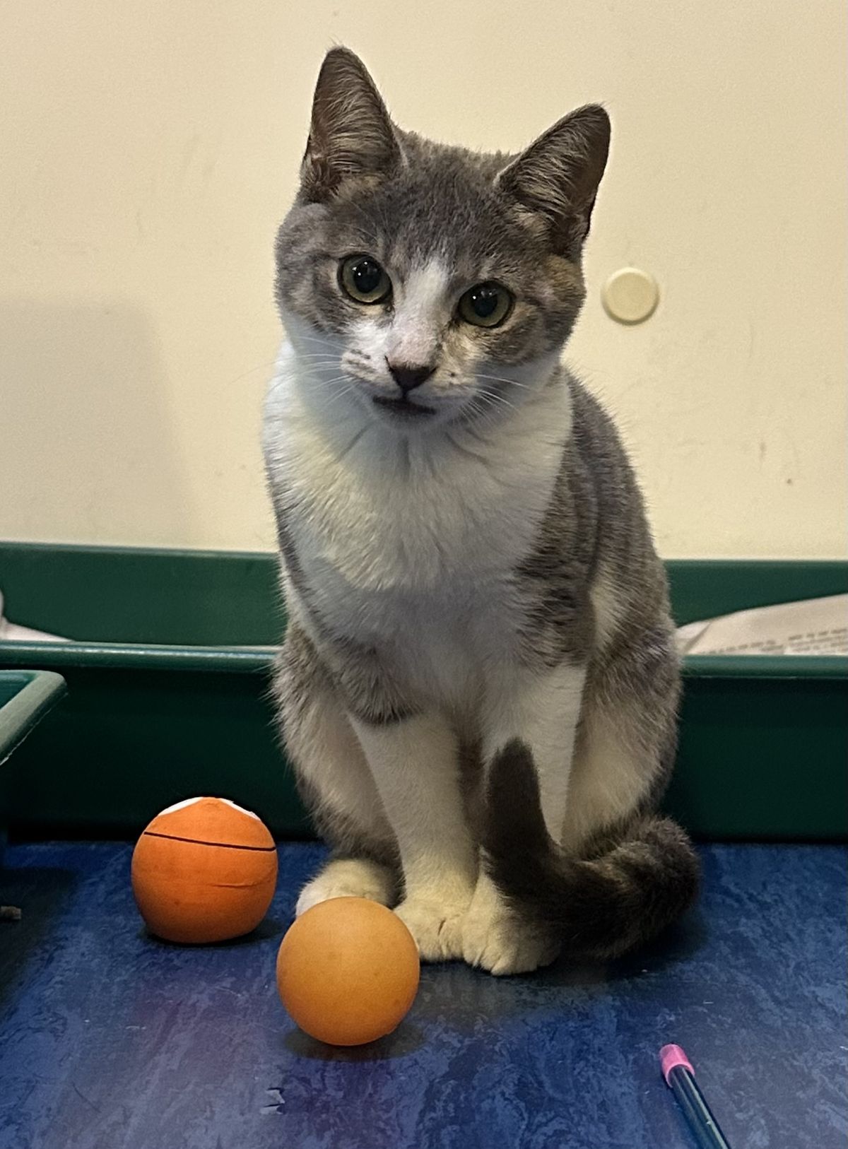 Gallery image: Orbit