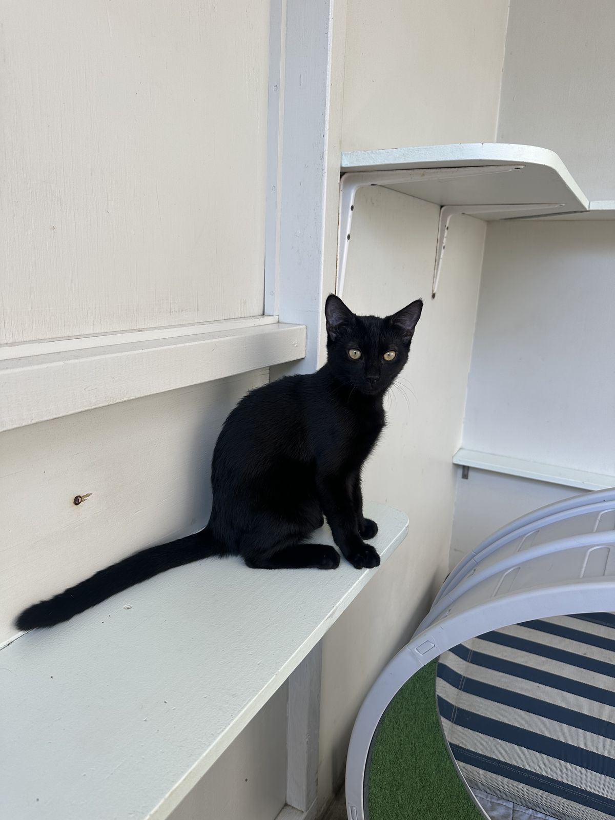 Gallery image: Smore