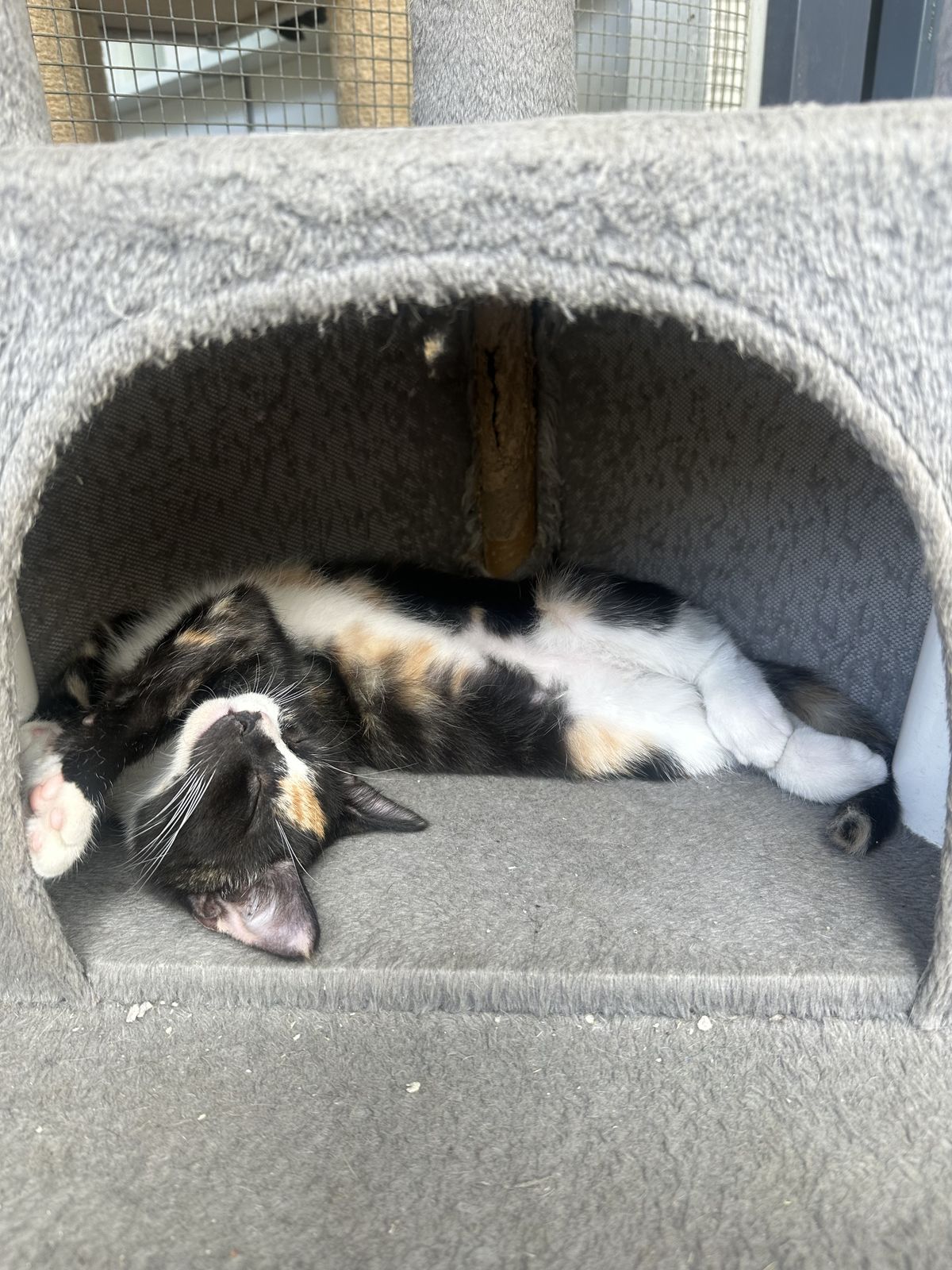 Gallery image: Sunshine