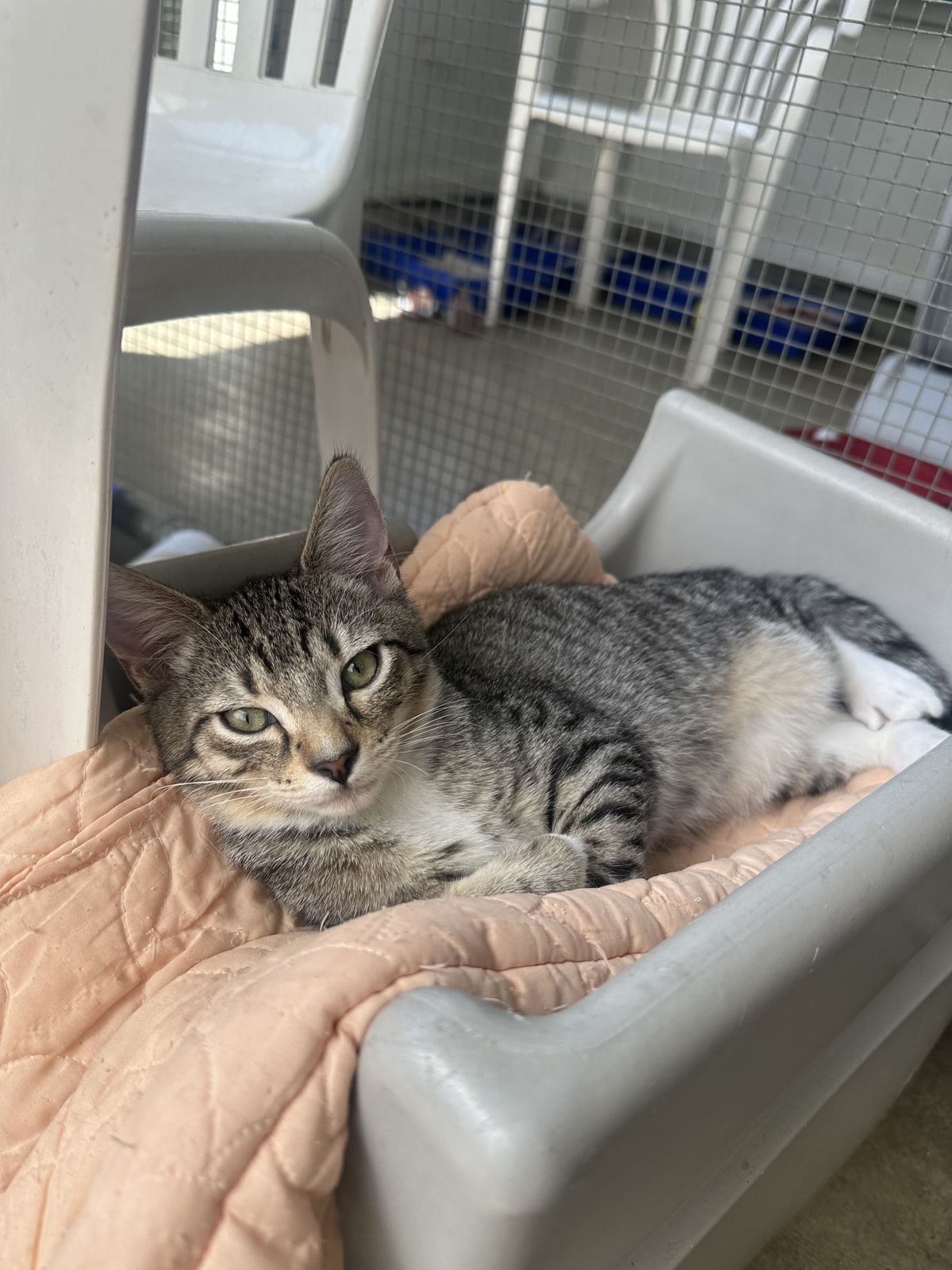 Gallery image: Storm