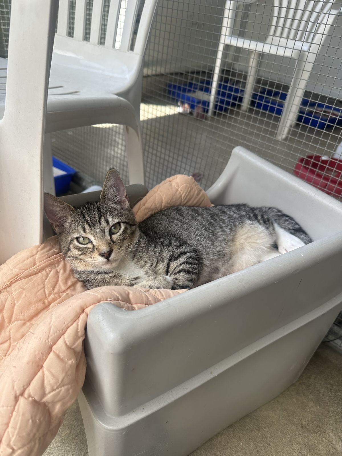 Gallery image: Storm