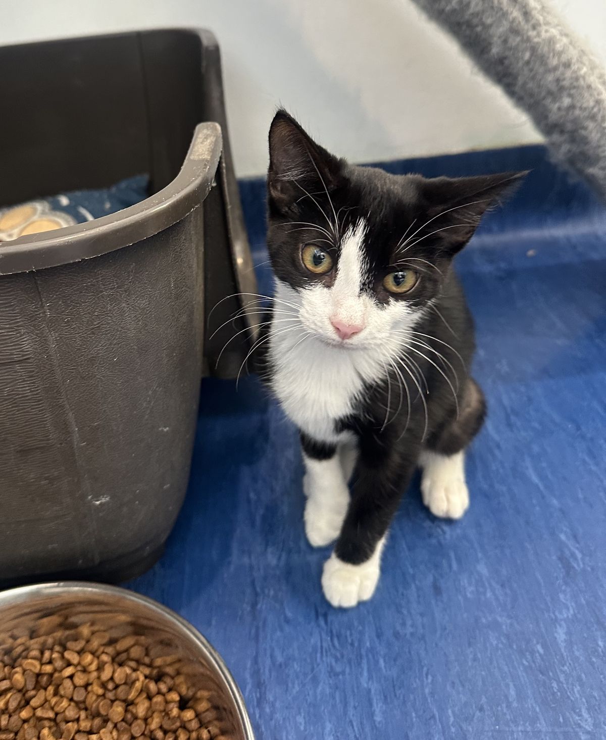 Gallery image: Tilly