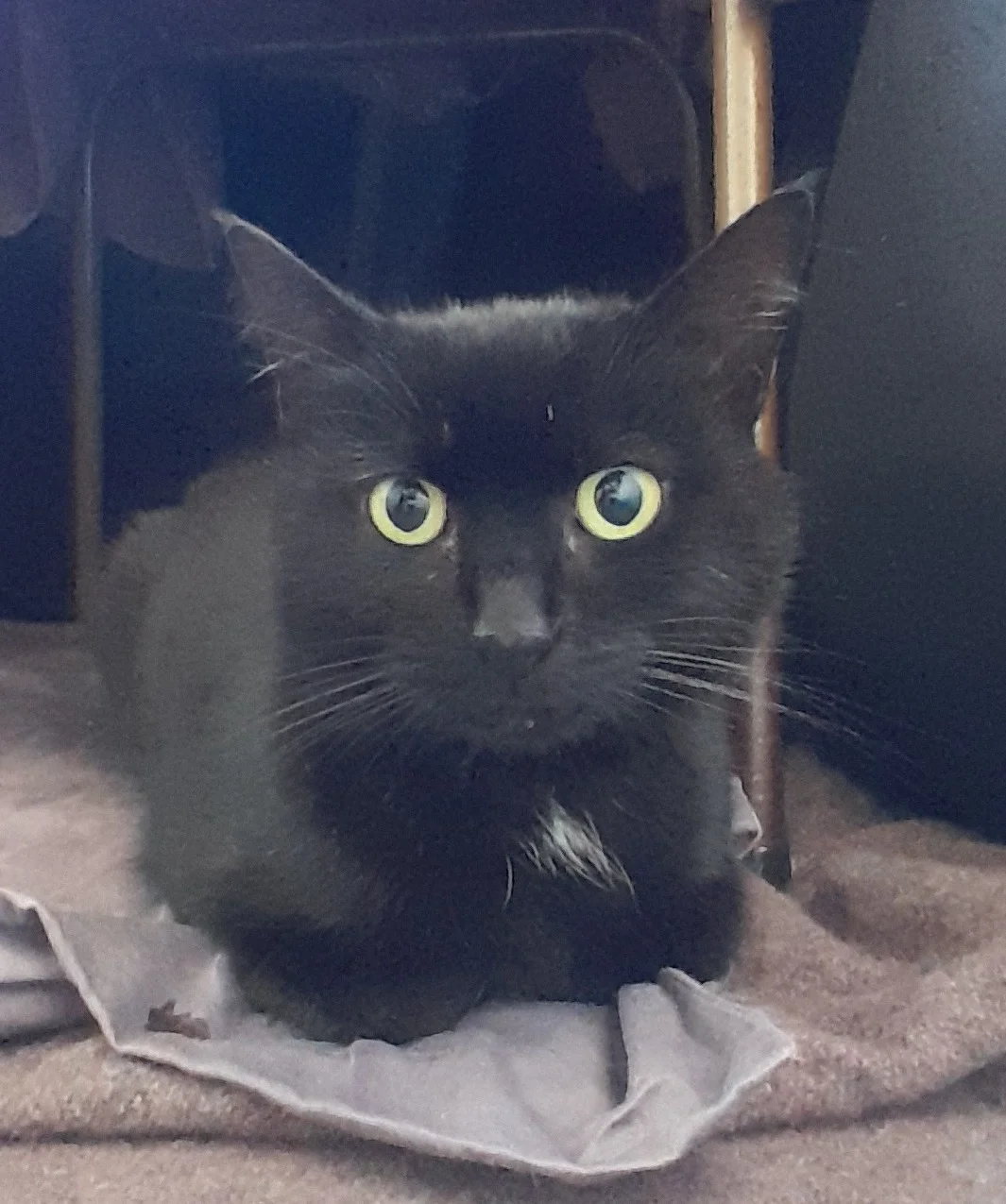 Gallery image: George