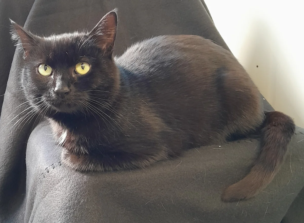 Gallery image: George