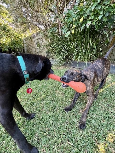 Gallery image: Chutney