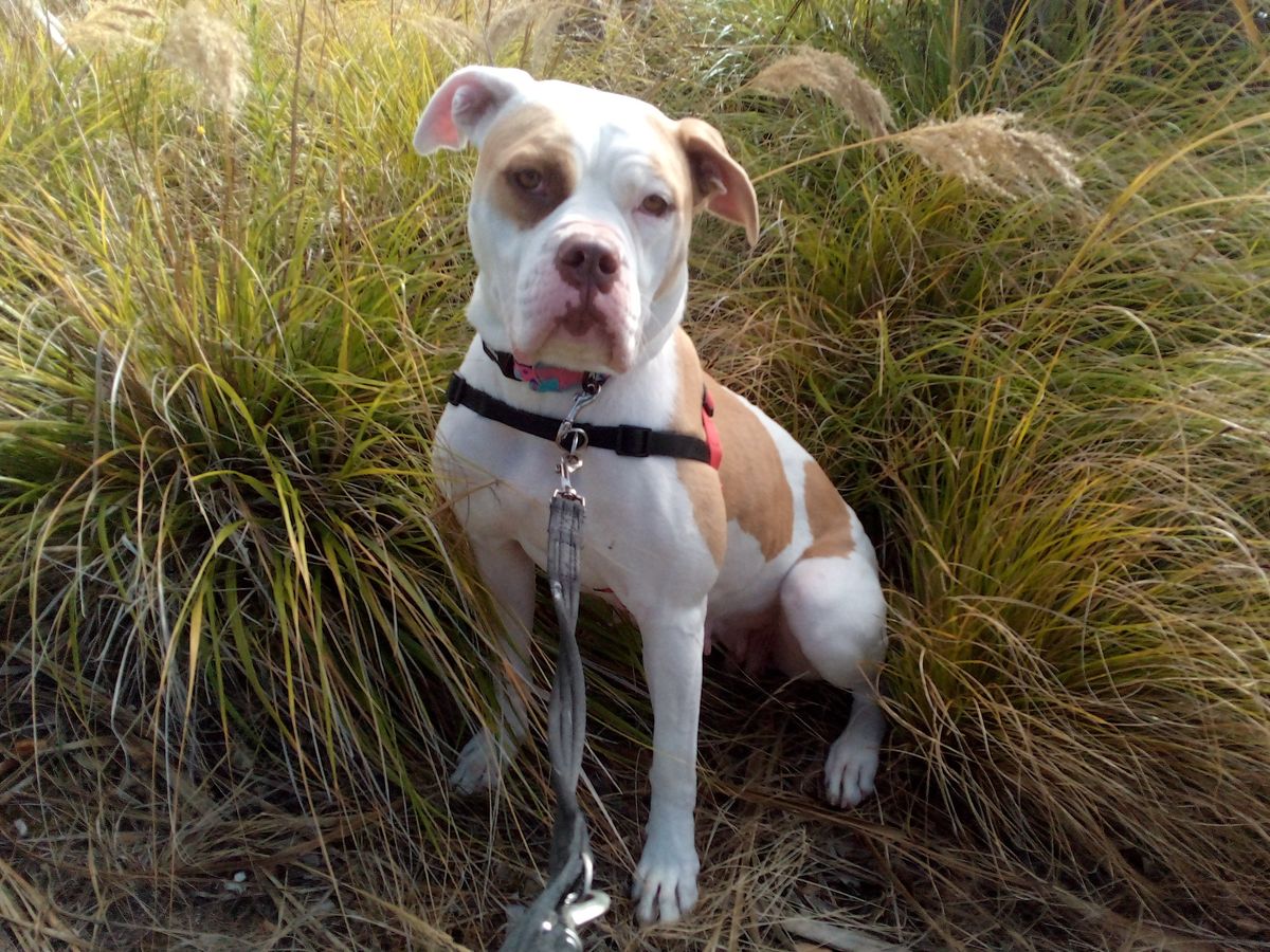 Gallery image: Maggie