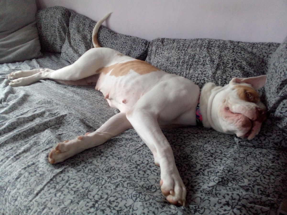 Gallery image: Maggie