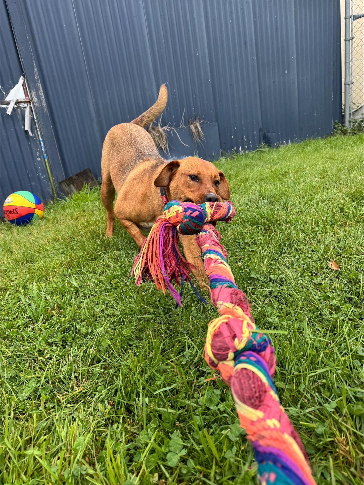 Gallery image: Sae-Dee