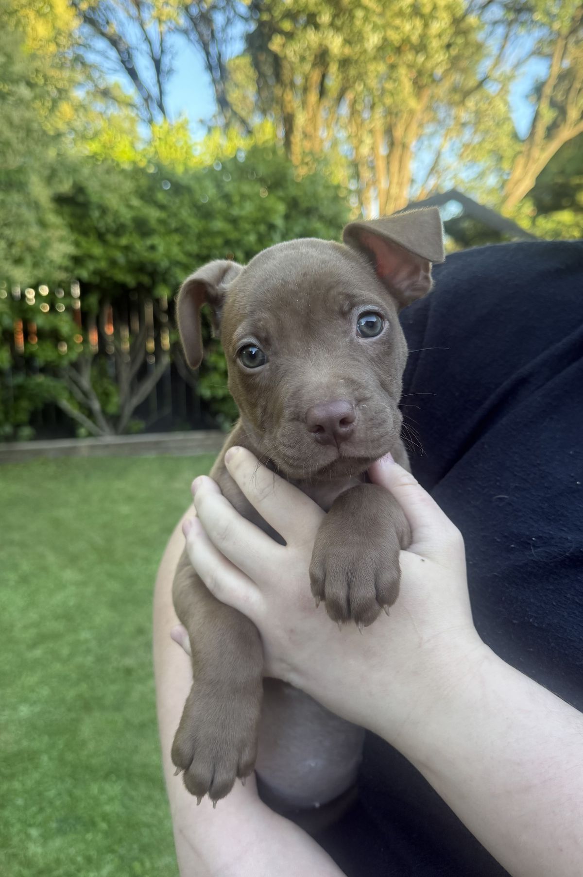 Gallery image: Saffron 