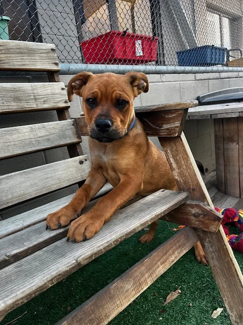 Gallery image: Belle