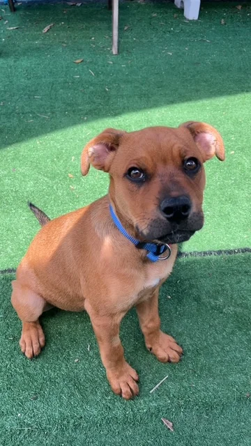 Gallery image: Belle