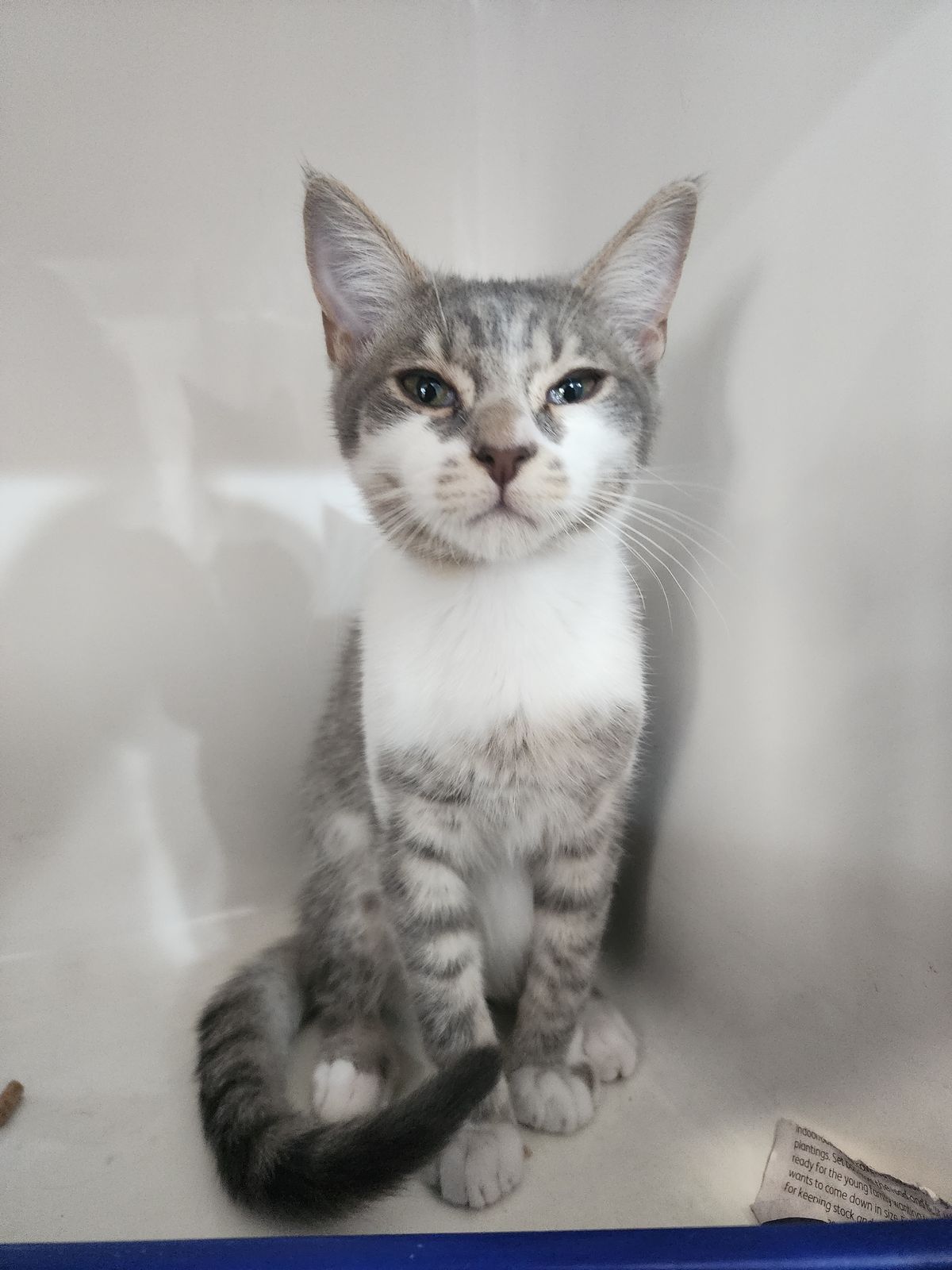 Gallery image: Miles