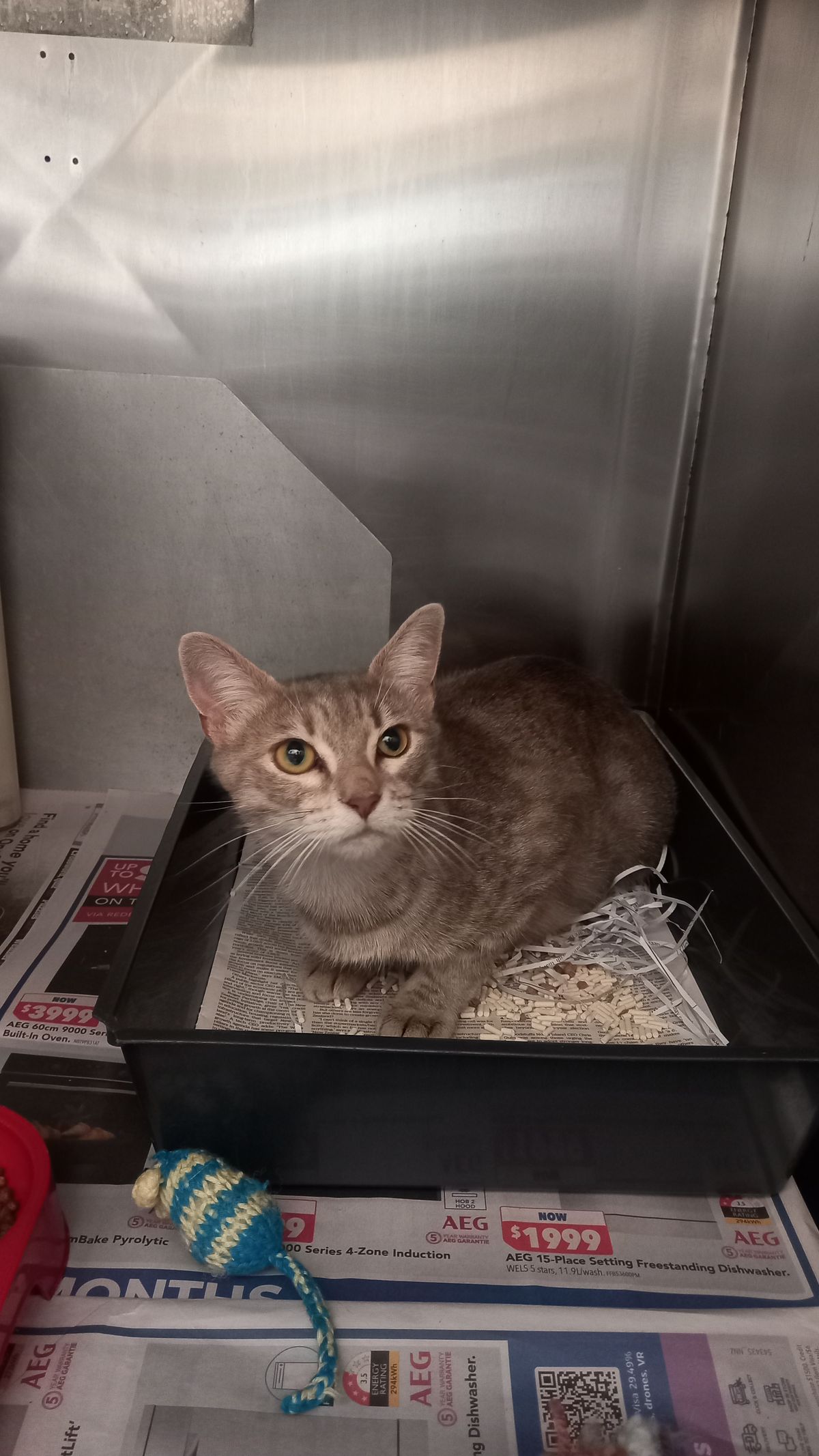 Gallery image: Taylor