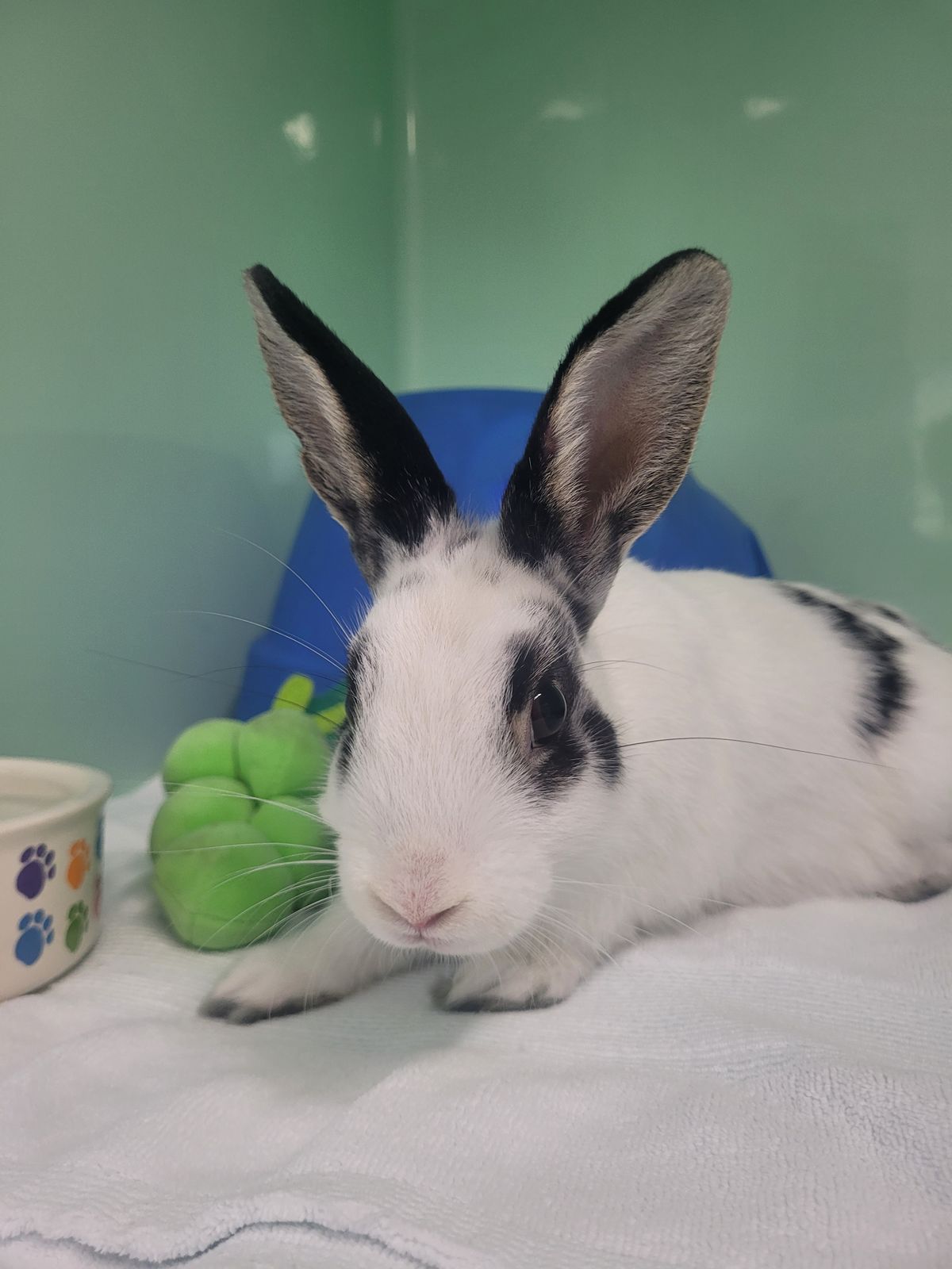 Gallery image: Blake