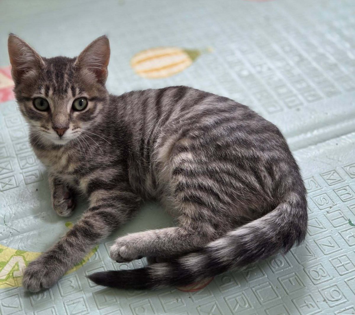 Gallery image: Peppermint