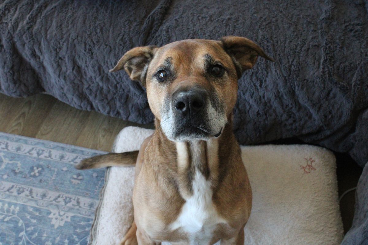 Gallery image: Steve