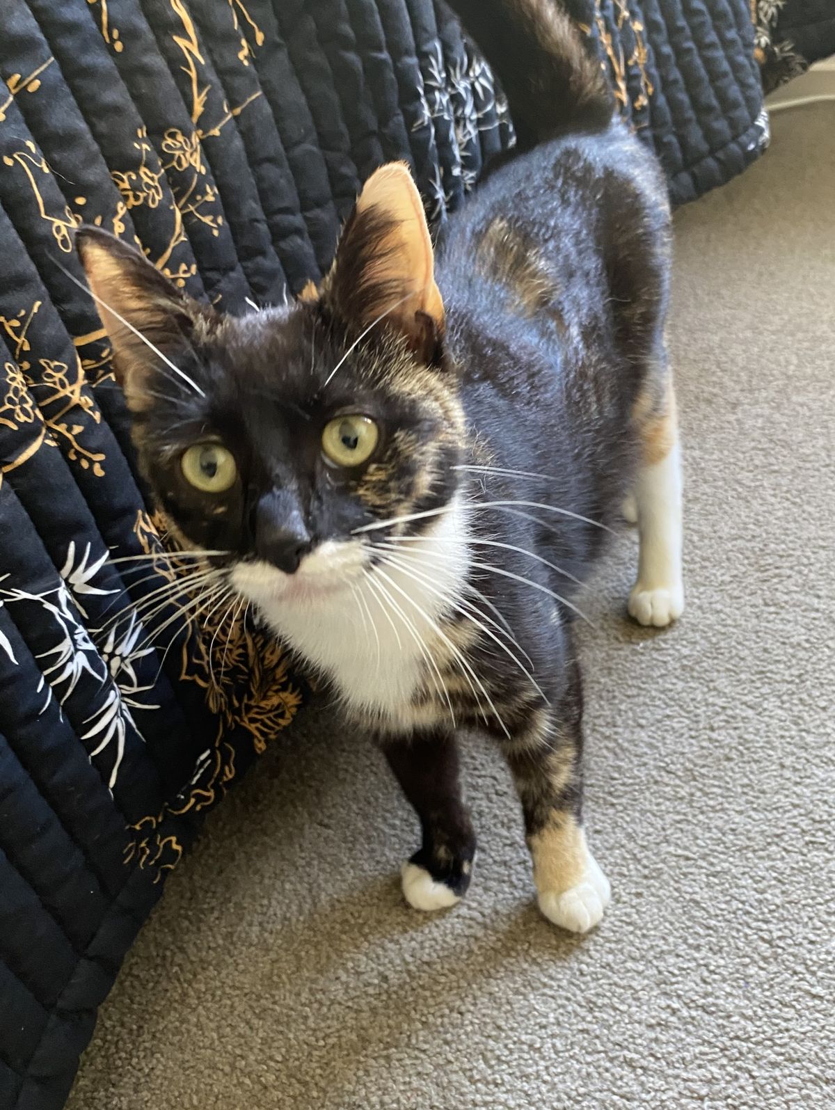 Gallery image: Marley