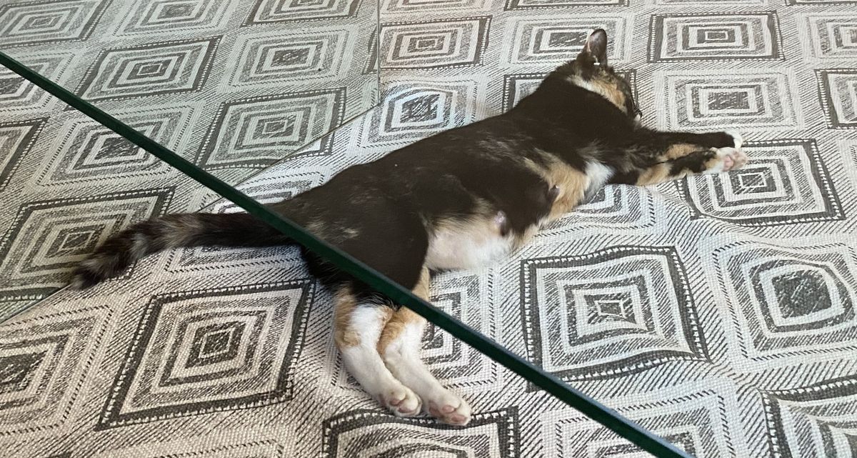 Gallery image: Marley