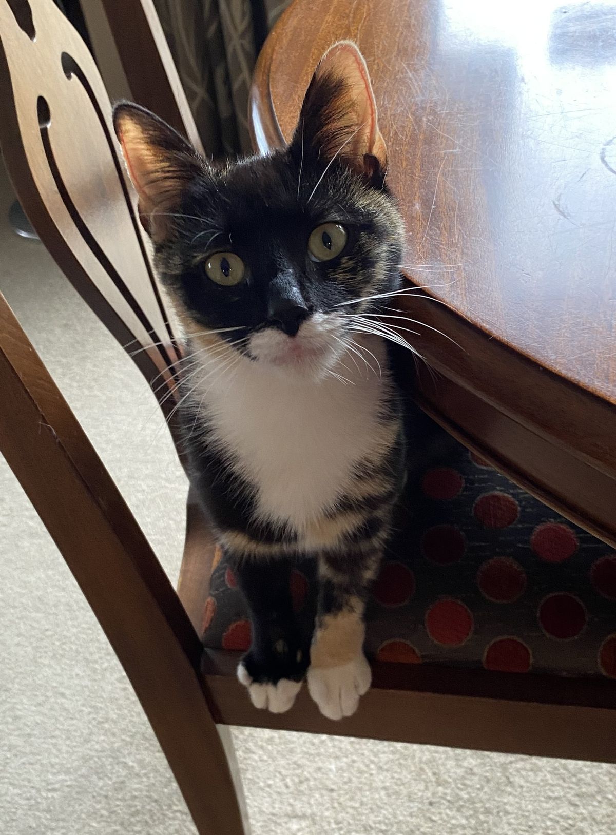 Gallery image: Marley