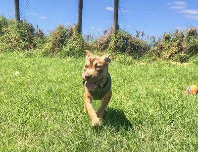 A speedy recovery: Caramella’s story of resilience