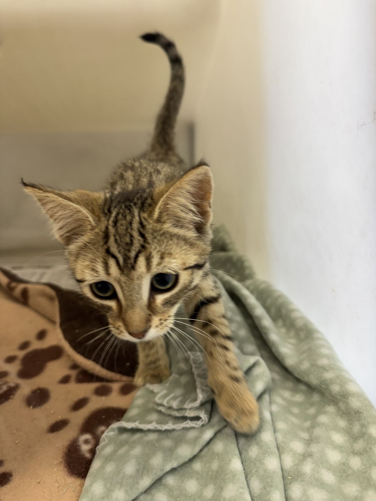 Gallery image: Porsche