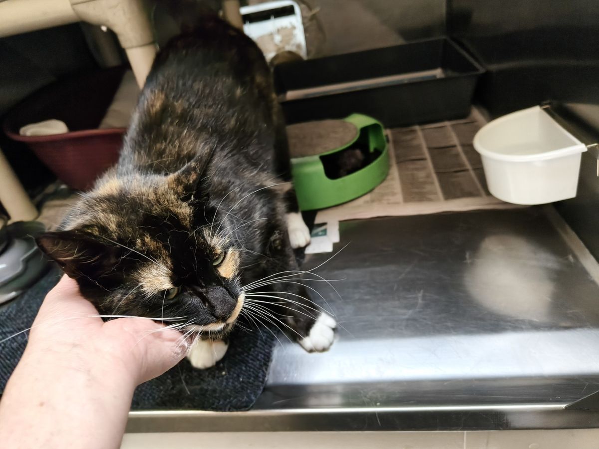 Gallery image: Hawaii