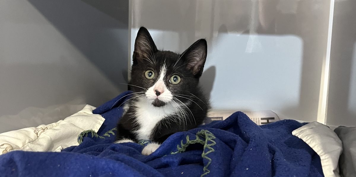 Gallery image: Jordie