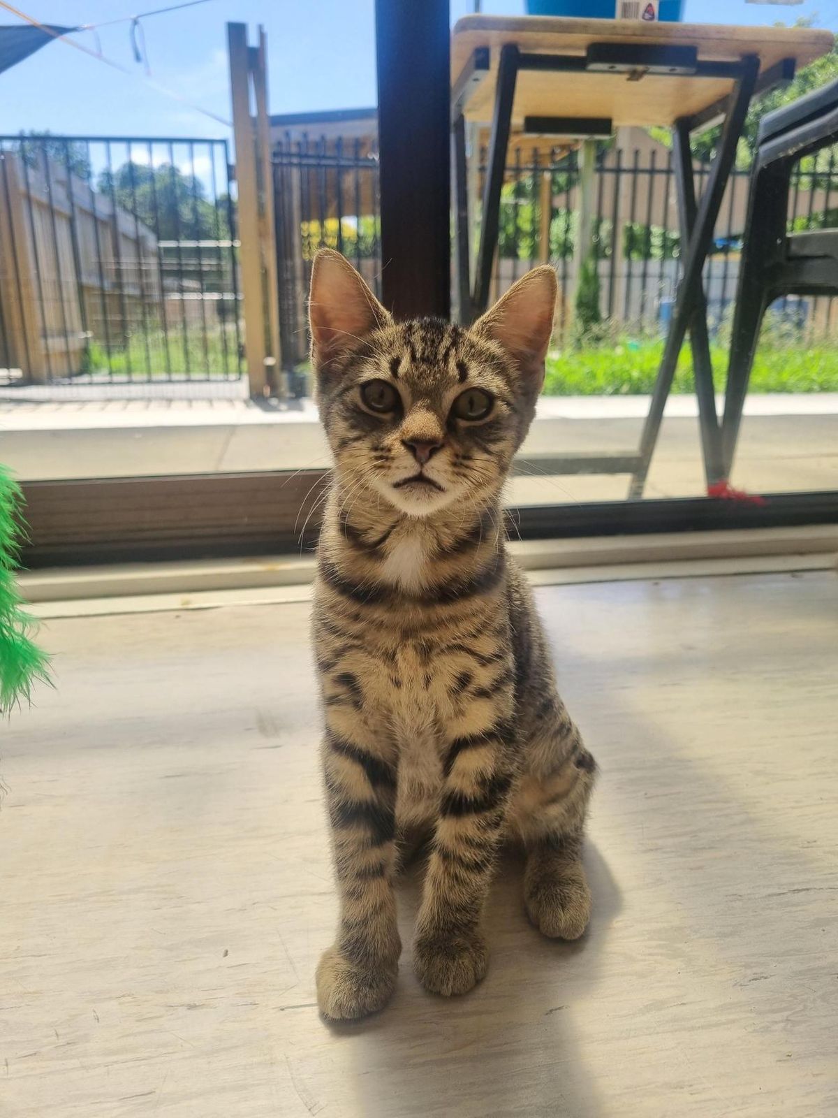 Gallery image: Miley