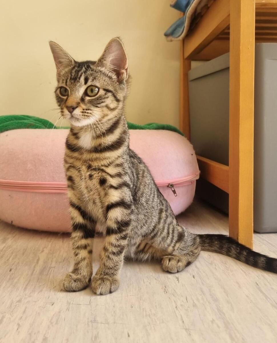 Gallery image: Miley